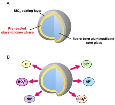  Ionomer: 치과 및 의학 분야의 혁신적인 생체재료!