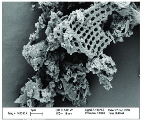  Diatomite: 미세한 천사의 흔적, 건설재료와 필터링의 유망 경쟁자!